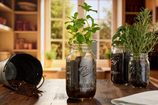 Ball Wide Mouth Glass Mason Jars - Image 6