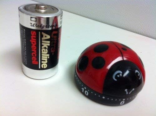 Kikkerland Ladybug Kitchen Timer, 5.7 x 5.7 x 4.4 cm - Image 7