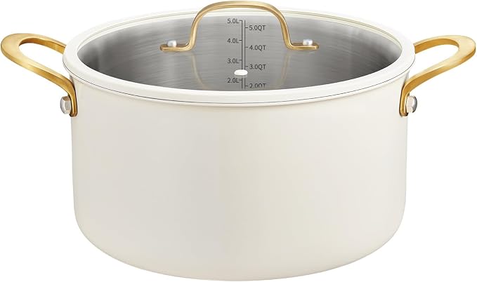 BEZIA 6 QT Stainless Steel Stockpot by BEZIA