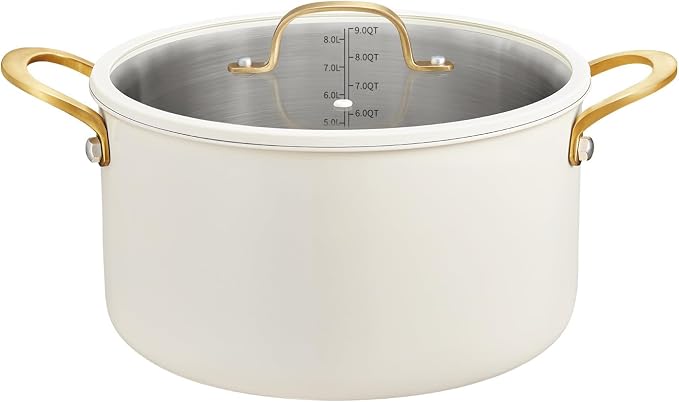 BEZIA 10 Quart Stainless Steel Stock Pot, Large Soup Pot, Casserole by BEZIA