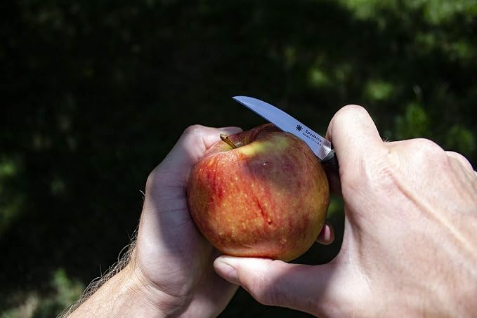 Spyderco Mini Paring Kitchen Knife - Image 5