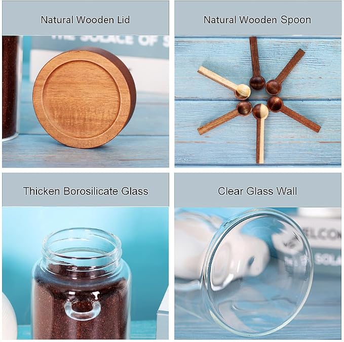 Glass Jar with Acacia Screw Lid and Spoon, 16 OZ Tea Containers - Image 4