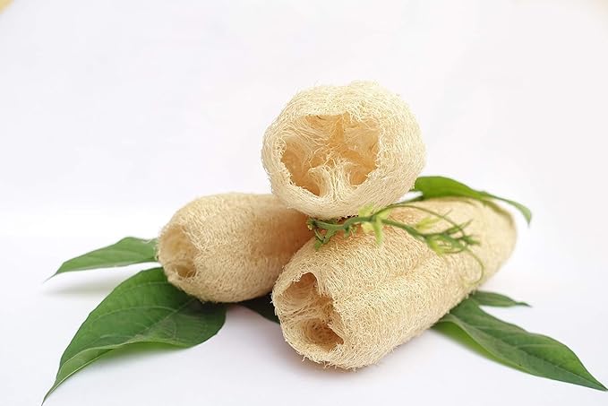 Natural Whole Loofah Sponge - Image 4