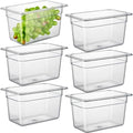 CURTA 6-Pack 1/4 Size 6" Deep NSF Polycarbonate Food Pans | Dishwasher & by CURTA