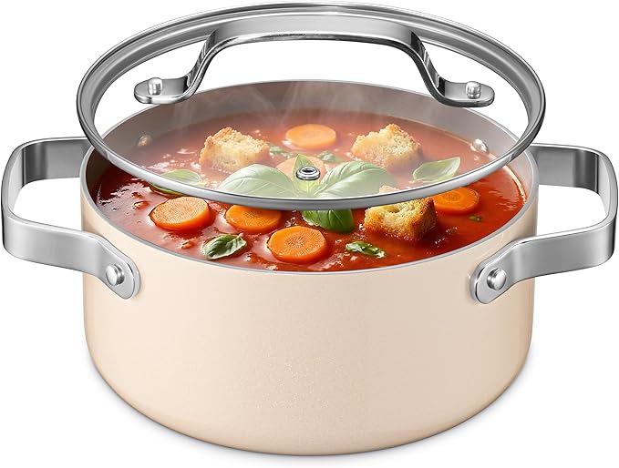 Bakken 3 Quart Ceramic Coated Stock Pot by BAKK%C3%8BNMASTER