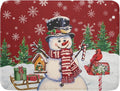 Winter Snowman Dish Drying Mat Red Bird Microfiber Dish Pad 18x24 Inch by Giwawa
