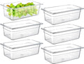 CURTA 6-Pack 1/3 Size 4" Deep NSF Polycarbonate Food Pans | Dishwasher & by CURTA