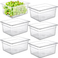 CURTA 6-Pack 1/2 Size 6" Deep NSF Polycarbonate Food Pans | Dishwasher & by CURTA