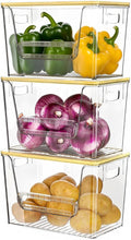 Delamu 3 Pack Pantry Organizers and Storage, Trash Bag Dispenser by DELAMU
