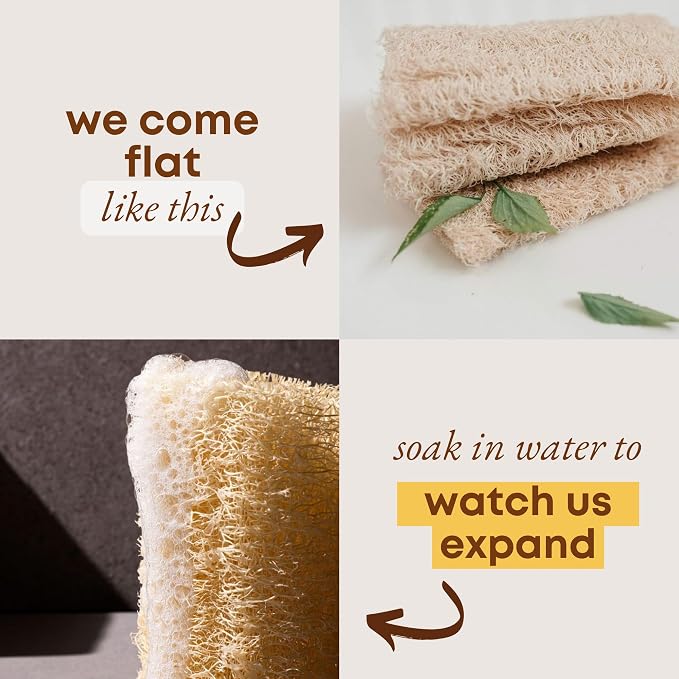 Natural Loofah Sponge - Image 4