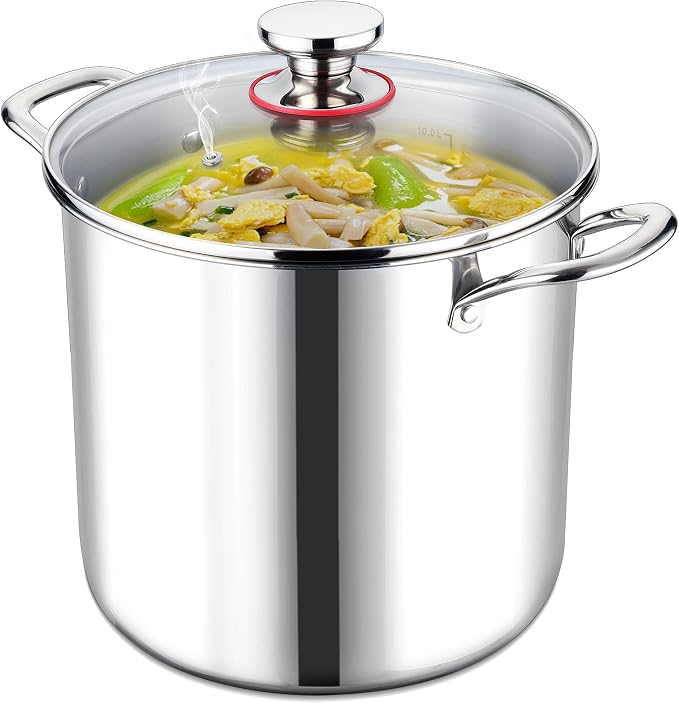 LIANYU 12 QT Stock Pot with Lid, 12 Quart Deep Tall Large Soup Pot by LIANYU