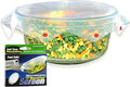Microwave Spatter Screen, Non-Stick Mesh, Folds Flat, 13 Inch Splatter Guard by Smartwares