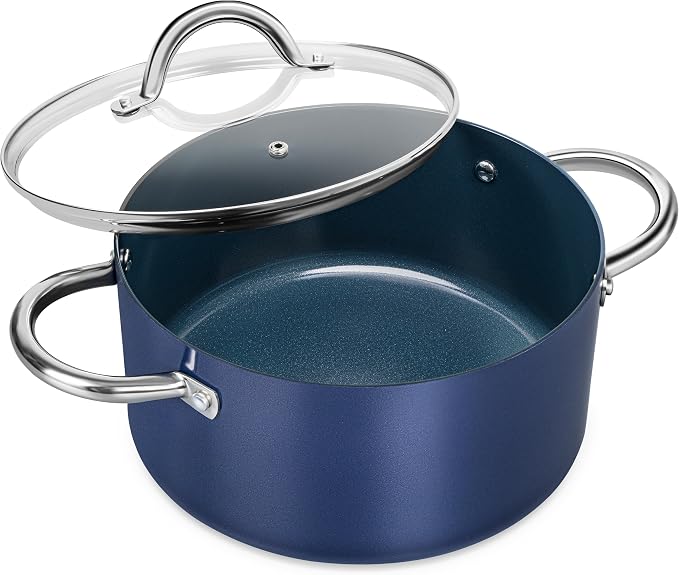 MICHELANGELO Stock Pot with Lid by Michelangelo