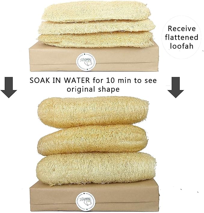 Natural Whole Loofah Sponge - Image 2