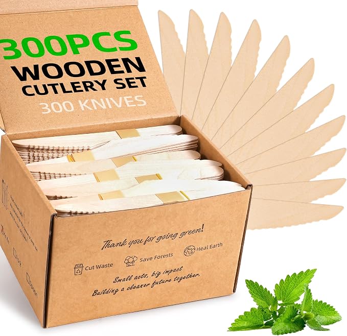 Disposable Wooden Utensils Set, Compostable Utensils, Disposable Cutlery by FEHHTOEco-friendlyLiving