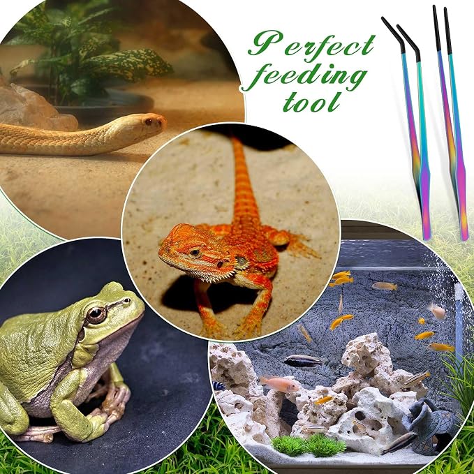 Lasnten 2 Pcs Extra Long Stainless Steel Reptile Feeding Tongs - Image 6