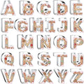 4 Inch Alphabet Letter Cookie Cutter Set by Xzhloym
