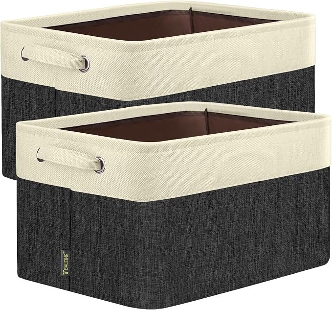 BALEINE 2 Pack Fabric Closet Storage Bins by BALEINE
