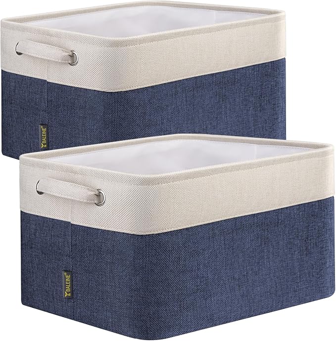 BALEINE 2 Pack Fabric Closet Storage Bins by BALEINE