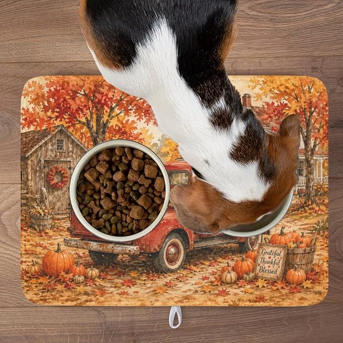 Fall Pumpkin Dish Drying Mat for Kitchen Counter Thanksgiving Autumn Harvest - Image 9