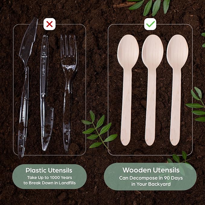 Wooden Disposable Spoons - Image 3